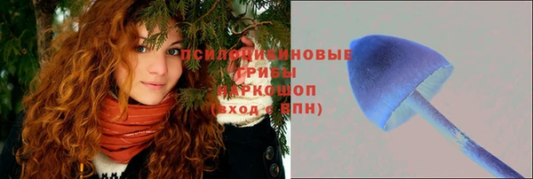 стаф Семилуки