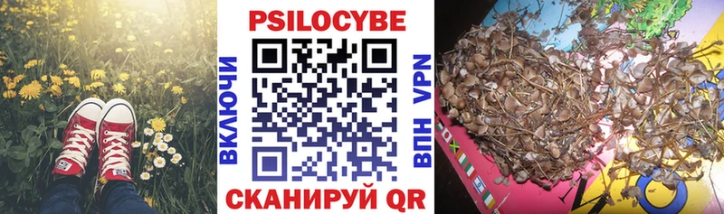 Псилоцибиновые грибы Psilocybine cubensis  Белая Калитва 