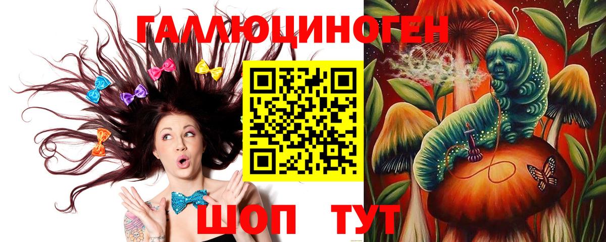 Галлюциногенные грибы Psilocybine cubensis Белая Калитва