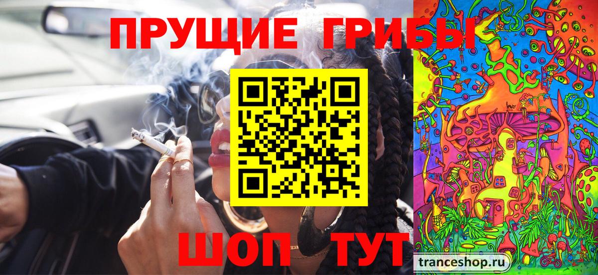 Псилоцибиновые грибы прущие грибы  Вход с VPN  Псилоцибиновые грибы мухоморы  Белая Калитва 